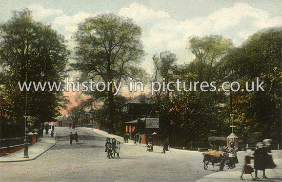 The Drive, Ilford, Essex. c.1905